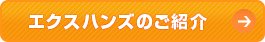 エクスハンズのご紹介